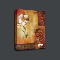 mrtva priroda S-2430