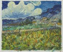 van gogh 205M